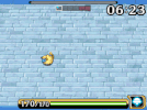 skorupi2.gif