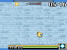 skorupi6.gif