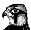 ds2_Falcon_1399861636353.png