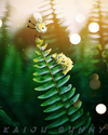 Untitled323_20250725172619_optimized.png
