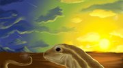 lizard edited2.jpg