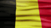 IMG_1772.gif