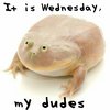 my dudes.jpg