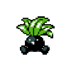 1754267544026.gif