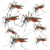 1754328850210.png
