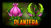 plant2.png