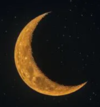 1755136542559.png