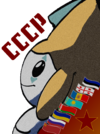 ussr logo.png