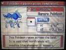 IMG_1761.jpeg