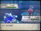 IMG_1767.jpeg