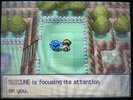 IMG_1768.jpeg