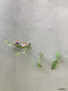 2025-08-02_yanmega_clinging_upload.png