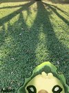 2025-08-02_sewaddle_jumpscare_upload.jpg