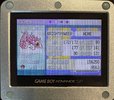 IMG_5550.jpeg