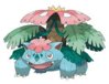 mega venusaur.jpg mega venusaur.jpg