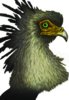 bord8.jpg
