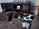 IMG_3250.jpeg