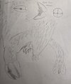 IMG_8356.jpeg