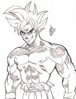 goku.jpg