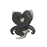 Cinshado-Back.png