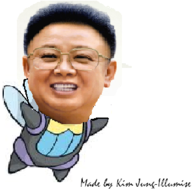 Kim Jung-Illumise