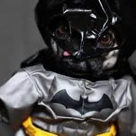batmanninjacat18