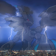 1Zekrom