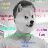 stevew