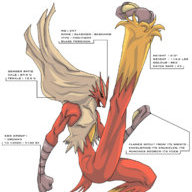 Burning Blaziken