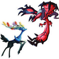dualityim