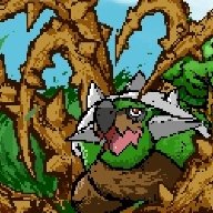 TorterraDDG
