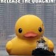 QuackinTamer