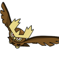 How About Noctowl