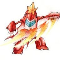 RaidRover