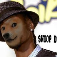 Sn00pDoge