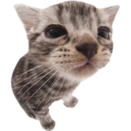 nui