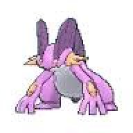Swampert44