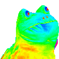HVOST