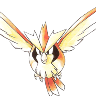 pidgey4
