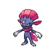 Just a Weasel