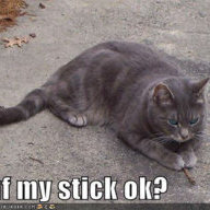 Jayfeather2014