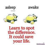 LaxSnorelax
