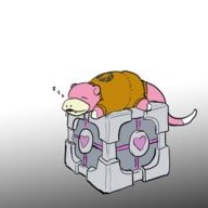 Bagel is Friend