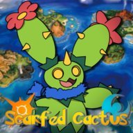 Scarfed Cactus