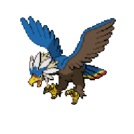 birdenthusiast