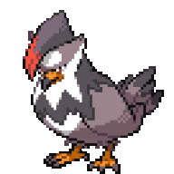 TheClassyStaraptor