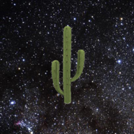 Cosmic Cactus