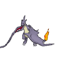 ShinyCharizardY0928