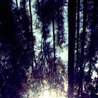 Wondercheval