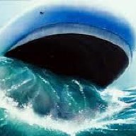 The Beached Wailord